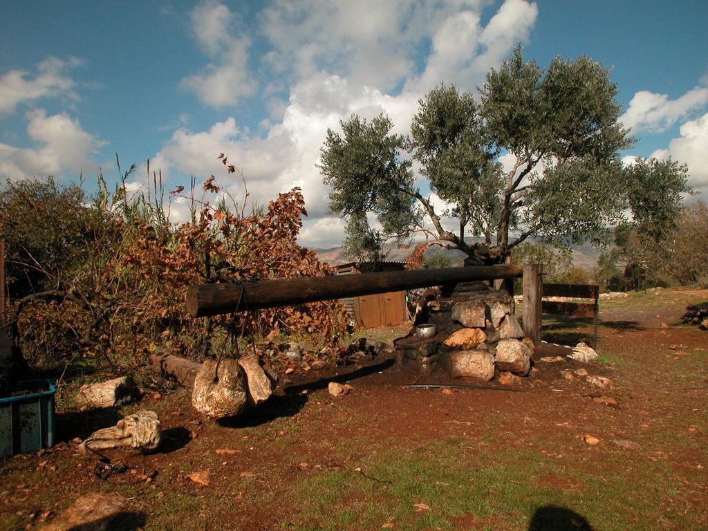 Hotel Back To Nature Camping & Huts Mikhmannim Exteriér fotografie