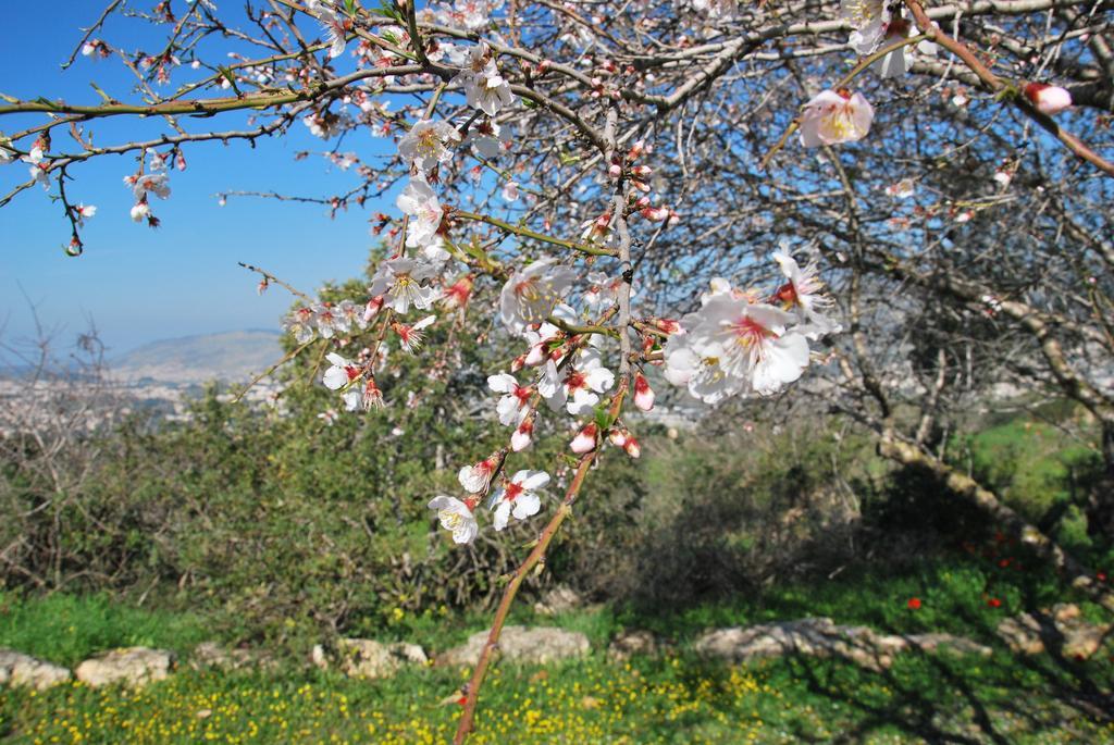 Hotel Back To Nature Camping & Huts Mikhmannim Exteriér fotografie